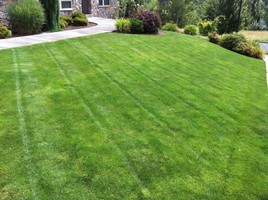 lawn-care-tips-getting-your-grass-green-again-after-1498778.jpg