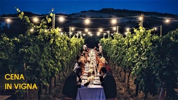 allestimento-luci-in-vigna.jpg