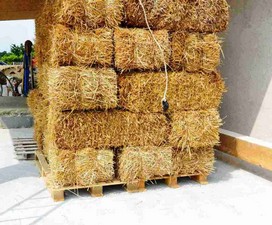 affitto-balle-paglia-fieno-per-eventi-cerimonie-matrimoni.jpg
